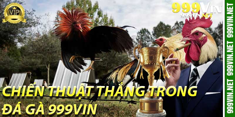 Chiến thuật thắng trong Đá Gà 999Vin