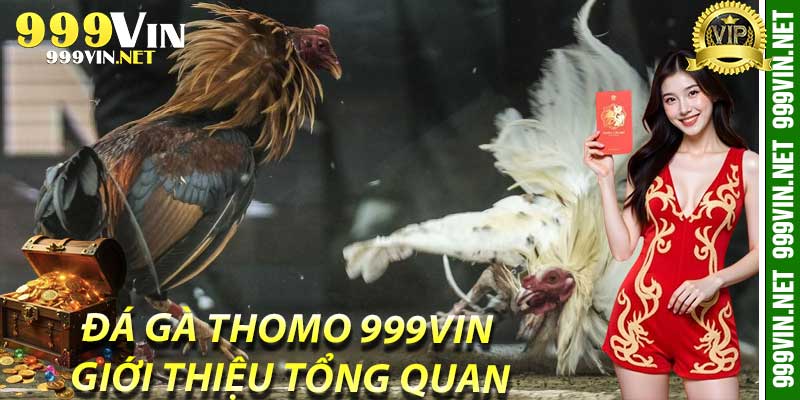 Đá Gà Thomo 999Vin: Giới Thiệu Tổng Quan