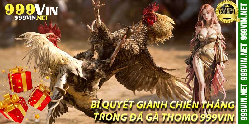 Bí Quyết Giành Chiến Thắng Trong Đá Gà Thomo 999Vin